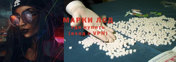 прущие грибы Бронницы