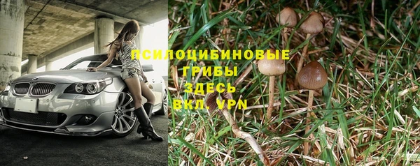 трава Бугульма