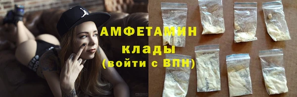 прущие грибы Бронницы