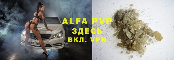 прущие грибы Бронницы