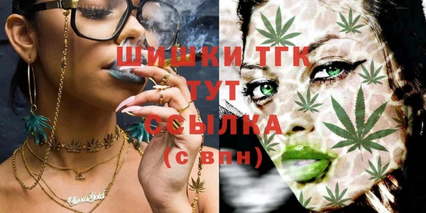 PSILOCYBIN Бородино