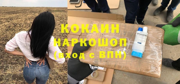 прущие грибы Бронницы