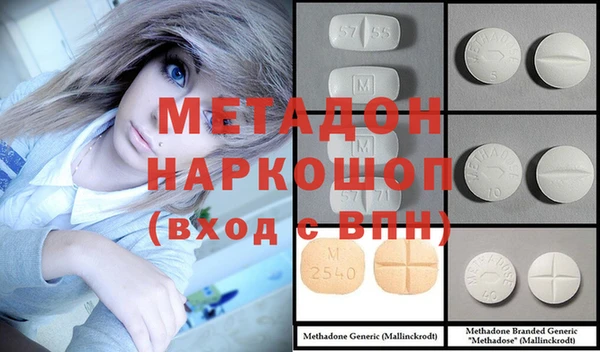 прущие грибы Бронницы