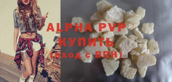 прущие грибы Бронницы