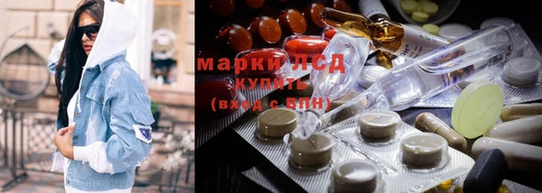 прущие грибы Бронницы