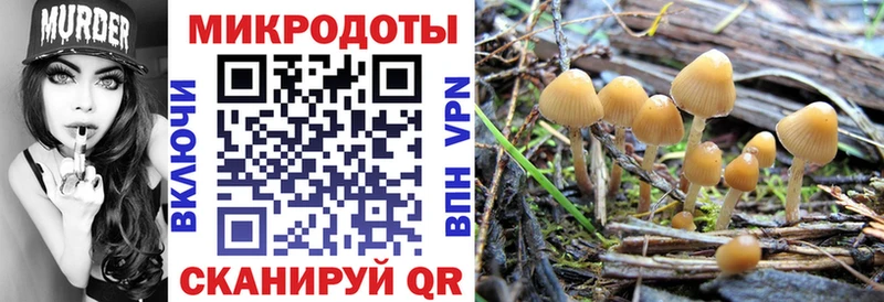 Псилоцибиновые грибы прущие грибы  blacksprut   Княгинино  цена наркотик 